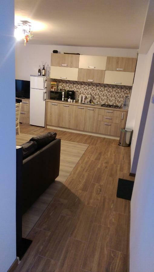Aterman Apartment'S Sinca Veche Exteriér fotografie